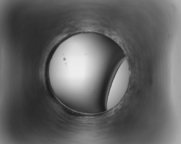 X0000088870104200706080729