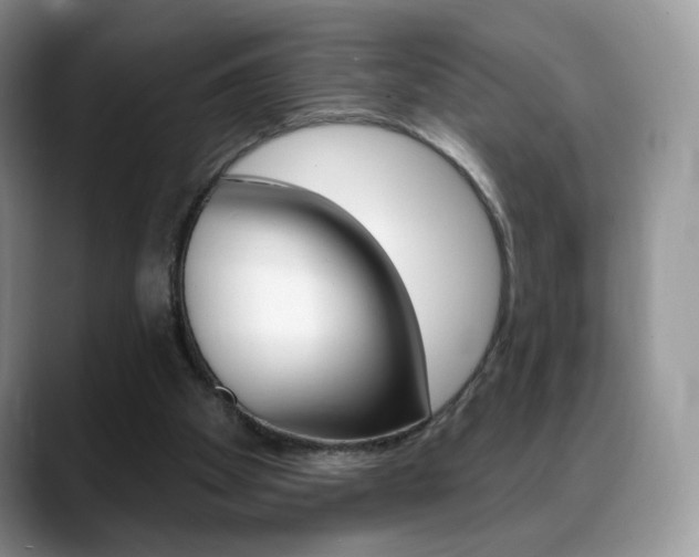 X0000088870105200706080729
