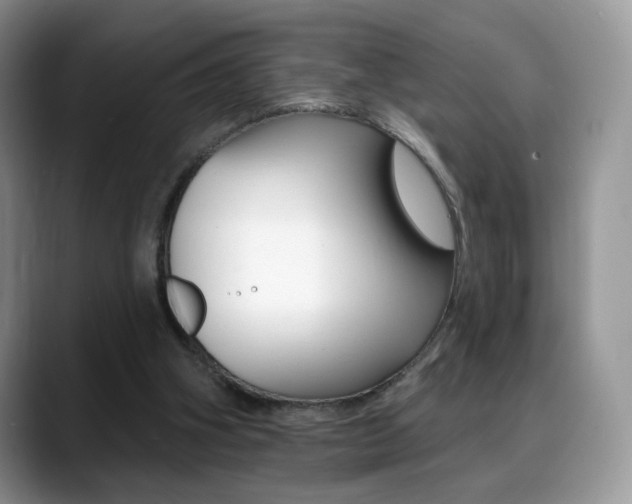 X0000088870106200706080729