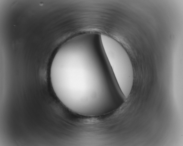 X0000088870112200706080729