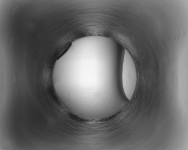 X0000088870121200706080729