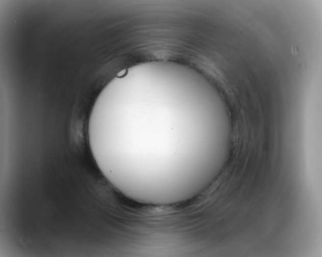 X0000088870122200706080729