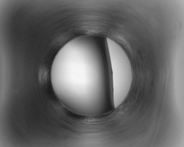 X0000088870123200706080729