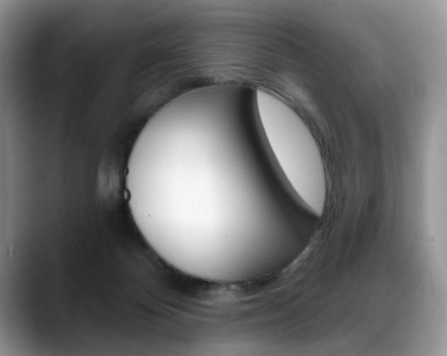 X0000088870124200706080729