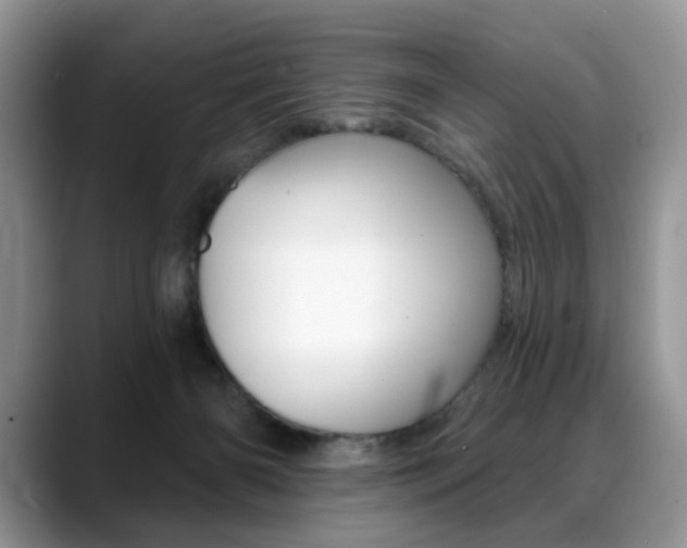 X0000088870126200706080728
