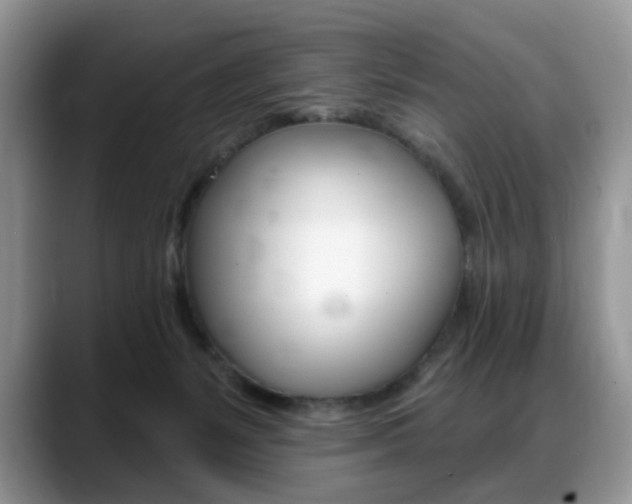 X0000088870127200706080728