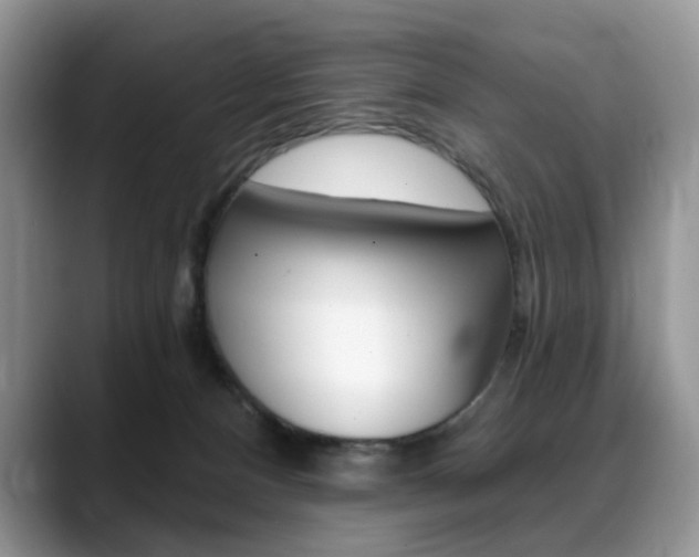 X0000088870128200706080728