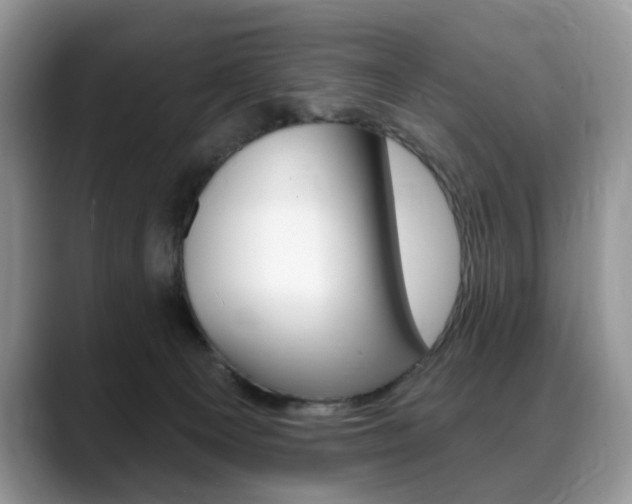 X0000088870129200706080728
