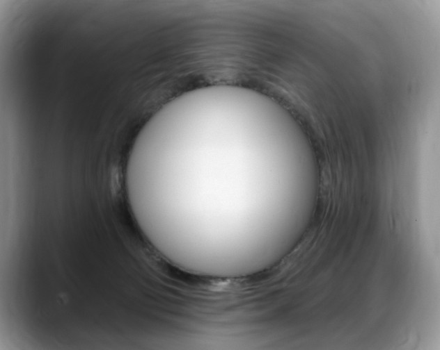 X0000088870130200706080728