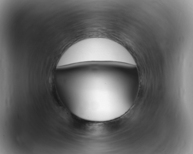 X0000088870132200706080728