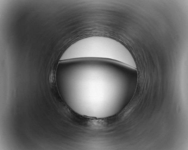 X0000088870137200706080728