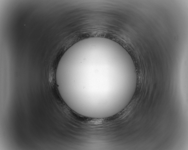 X0000088870138200706080728