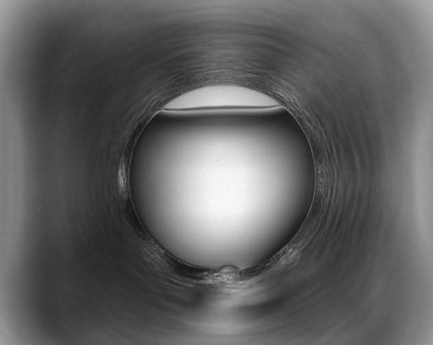 X0000088870143200706080728