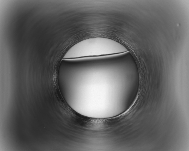 X0000088870144200706080728