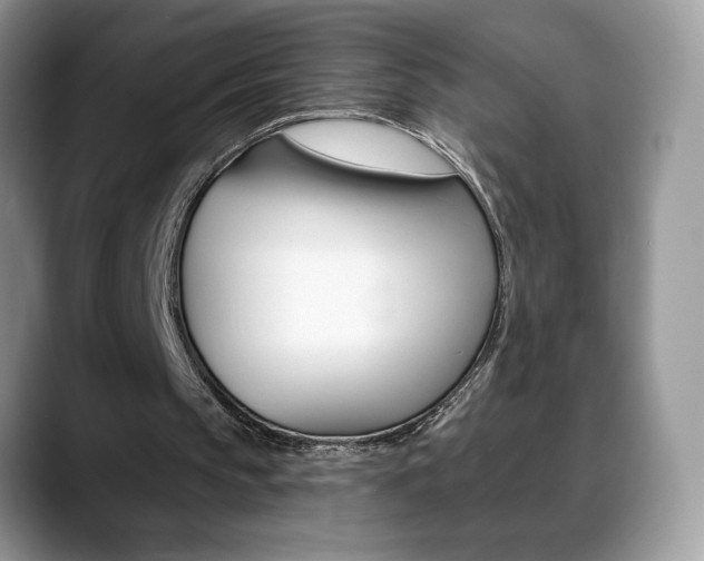 X0000088870145200706080728