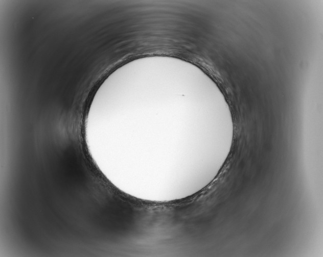 X0000088870146200706080728