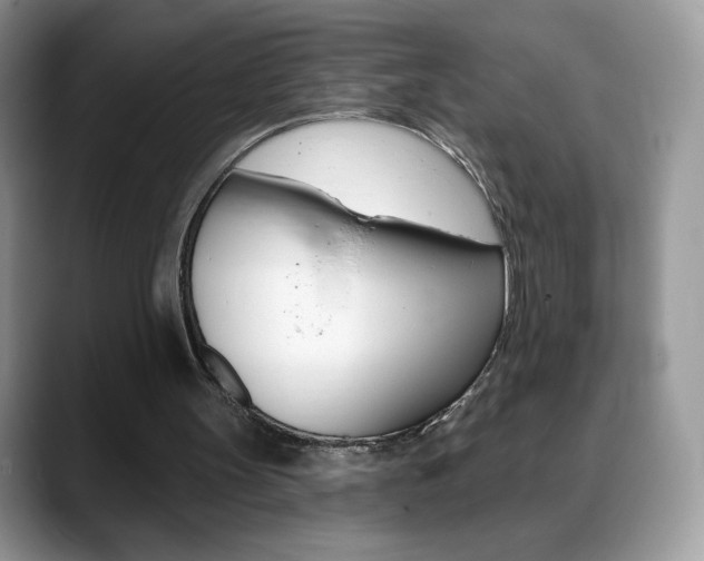 X0000088870147200706080728