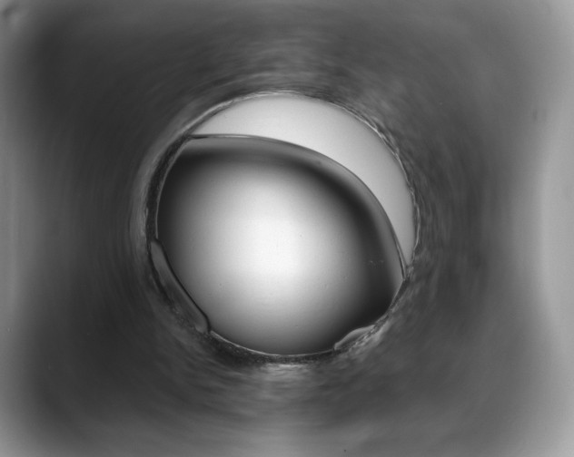 X0000088870150200706080728
