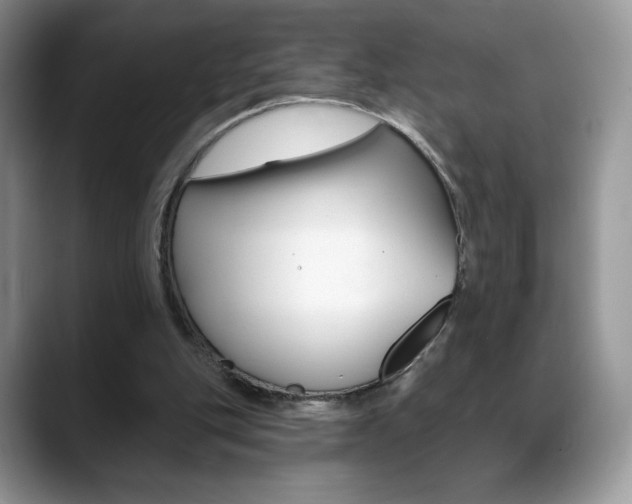 X0000088870151200706080728