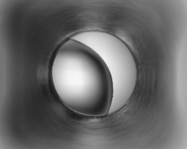 X0000088870156200706080728