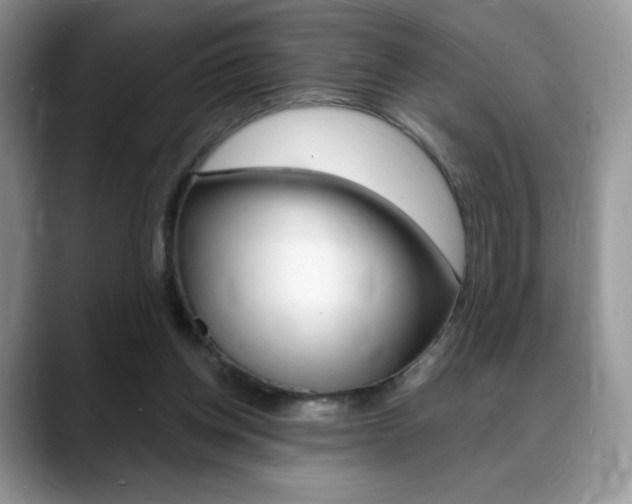 X0000088870158200706080728
