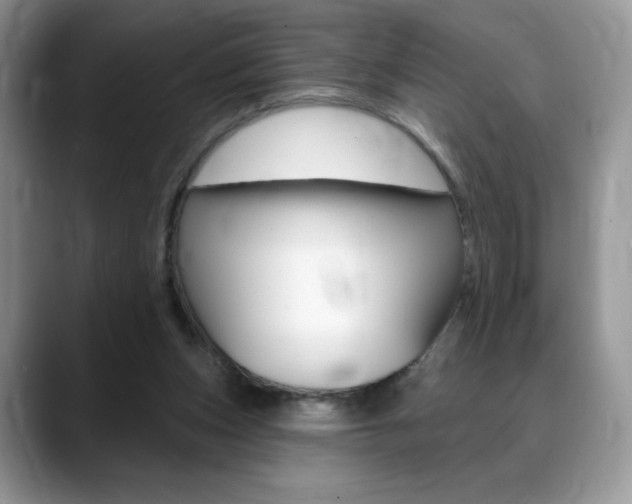 X0000088870159200706080728