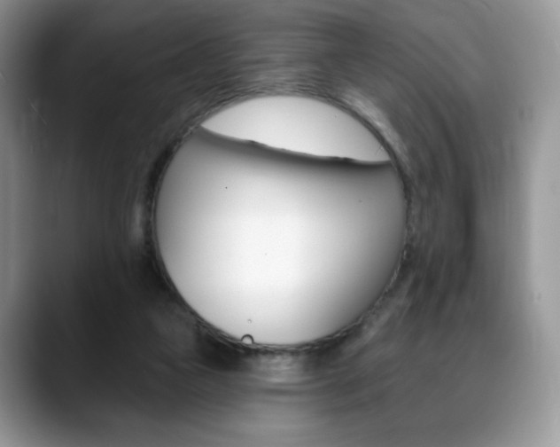 X0000088870161200706080728