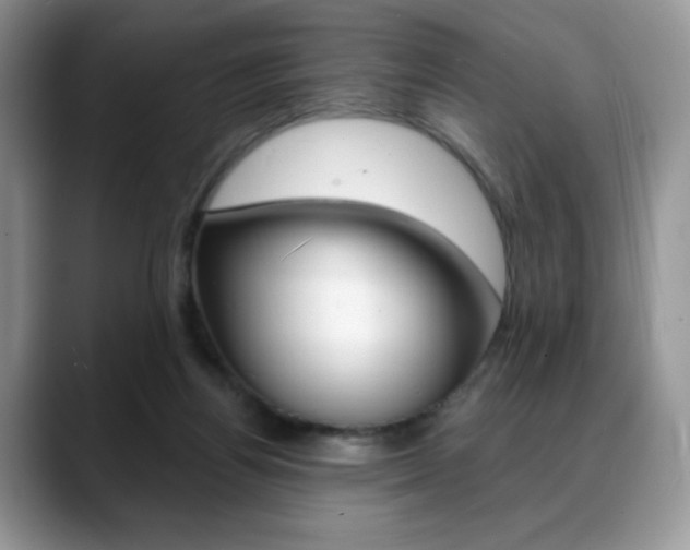 X0000088870164200706080728