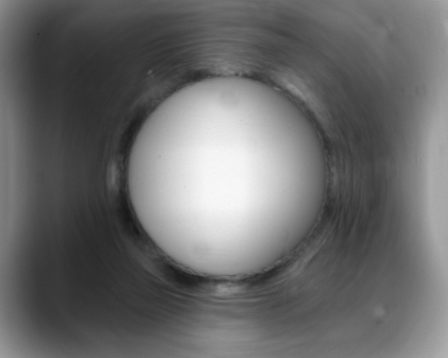 X0000088870165200706080728