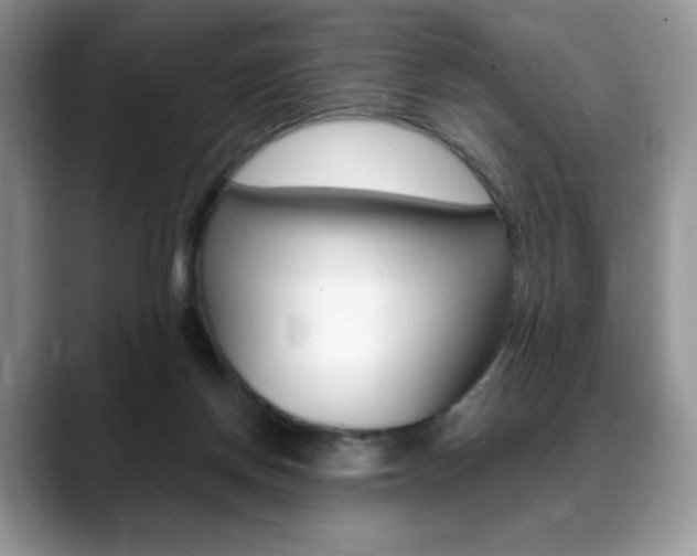 X0000088870166200706080728