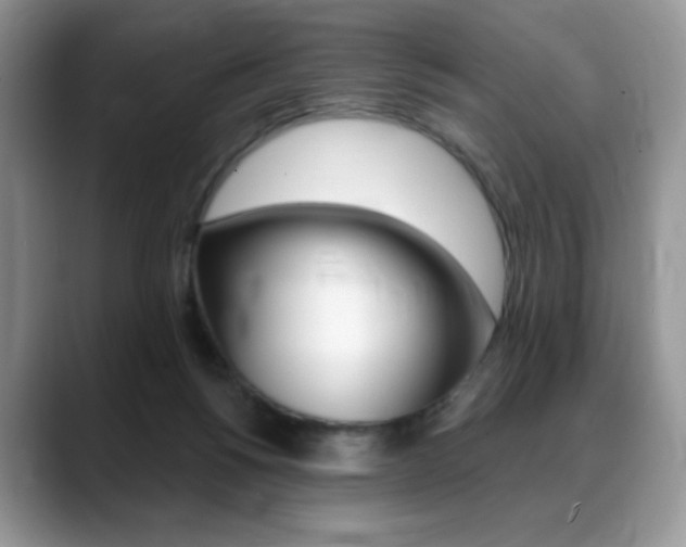X0000088870168200706080728
