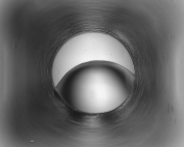 X0000088870170200706080728