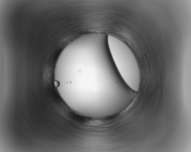 X0000088870171200706080728