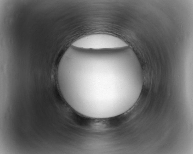 X0000088870175200706080728
