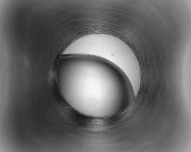 X0000088870176200706080728