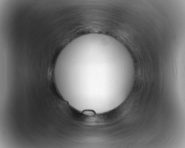 X0000088870177200706080728