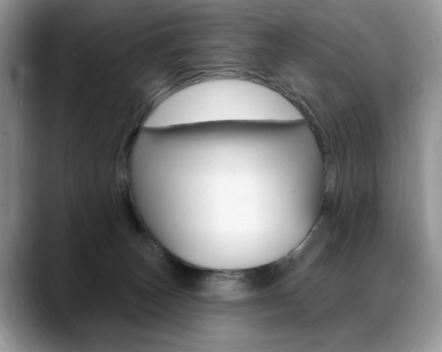 X0000088870179200706080728