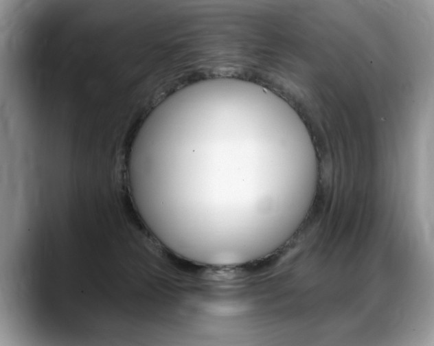 X0000088870181200706080728