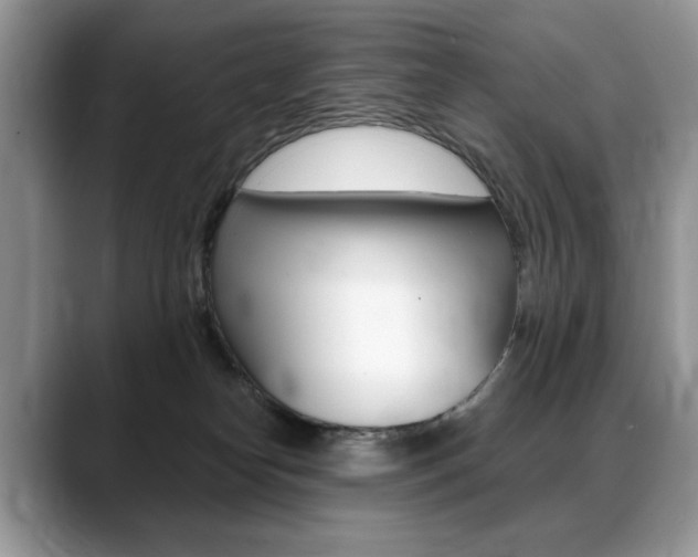 X0000088870182200706080728