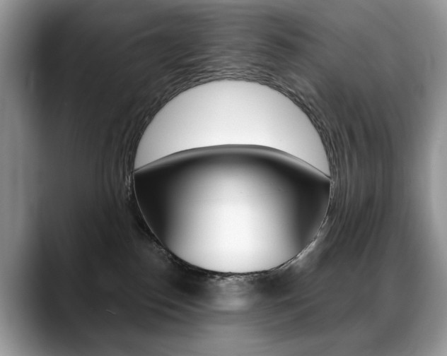 X0000088870186200706080728