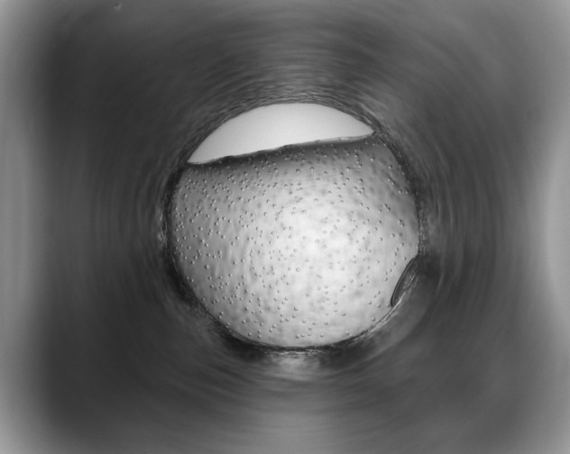 X0000088870187200706080728