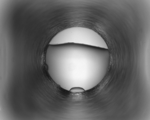 X0000088870189200706080728