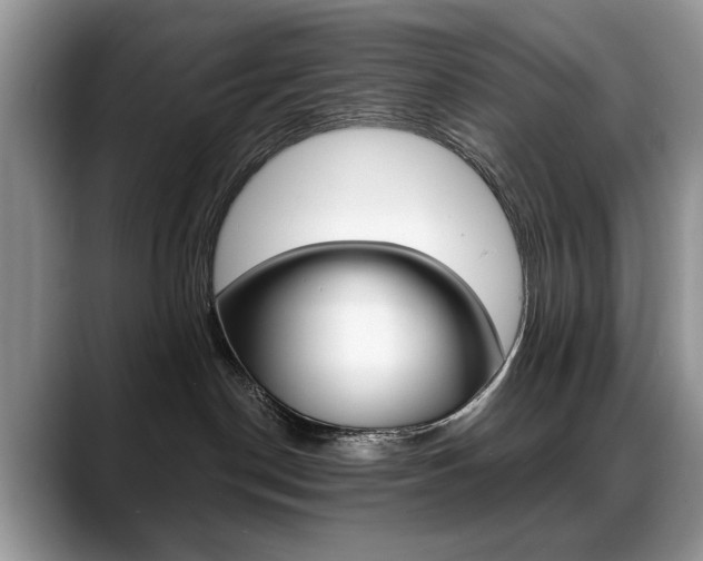 X0000088870190200706080728