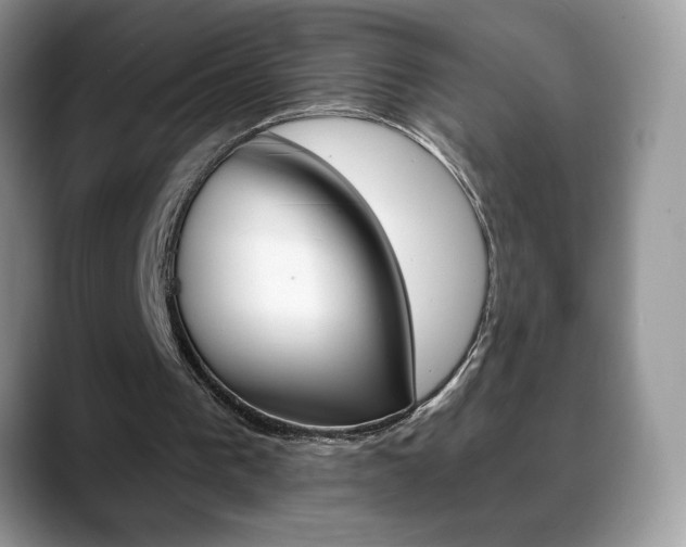 X0000088870193200706080728