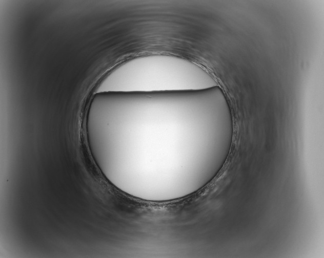X0000088870194200706080728