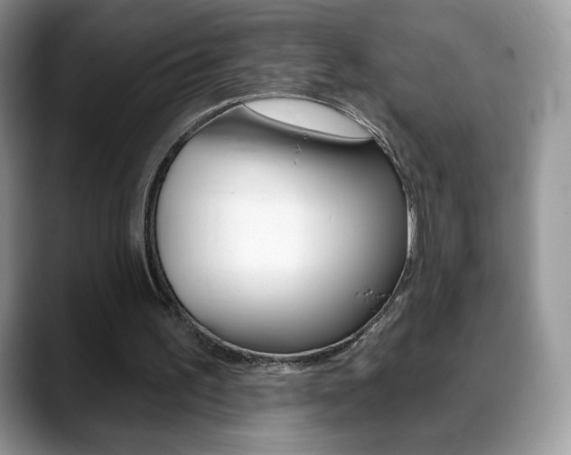 X0000088870195200706080728