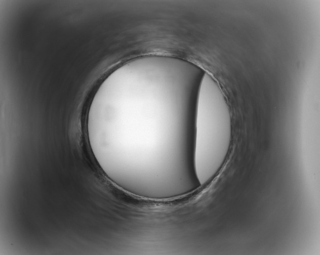 X0000088870198200706080728