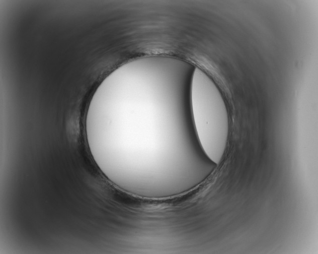 X0000088870202200706080727