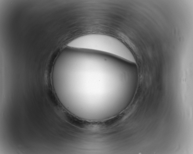 X0000088870209200706080727