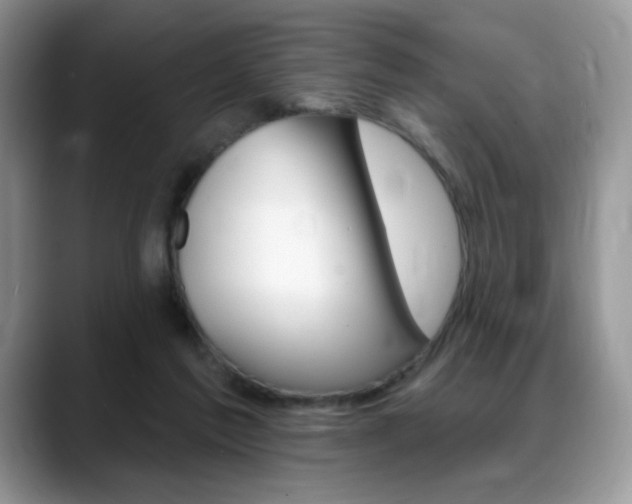X0000088870213200706080727